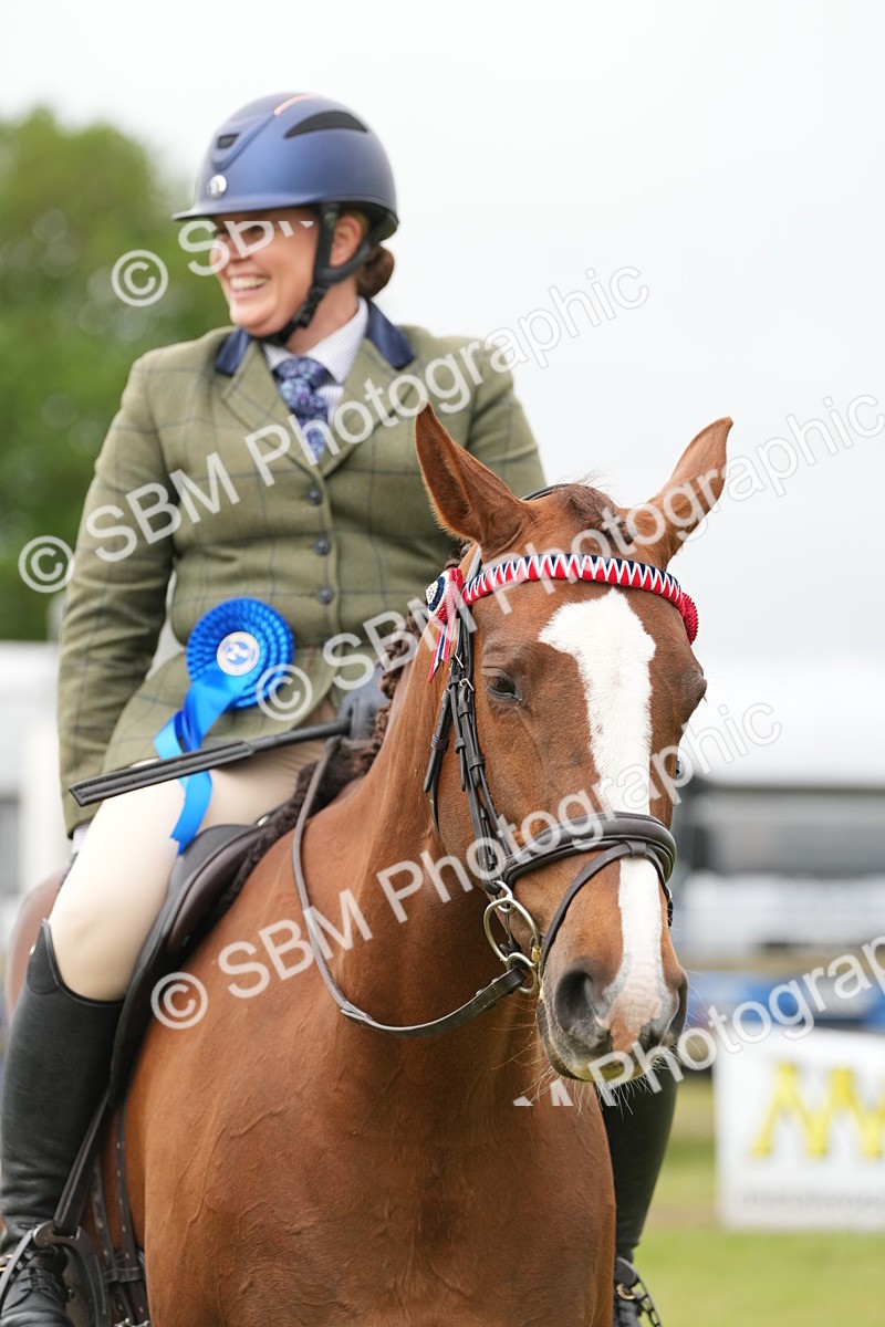 SBM_10649 - Class 97-98 - LIHS BSHA Rising Star Working Show Horse Hunter
