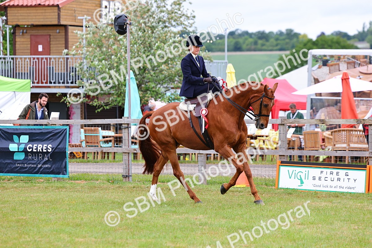 SBM_02785 - Class 9-11 Side Saddle including LIHS Rising Star Ladies Show Horse
