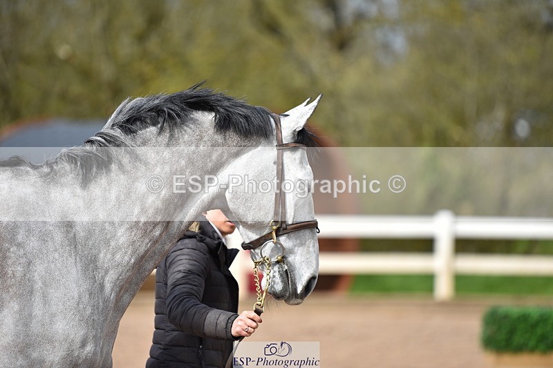 240417A-154216-00963 - 3pm to 4pm