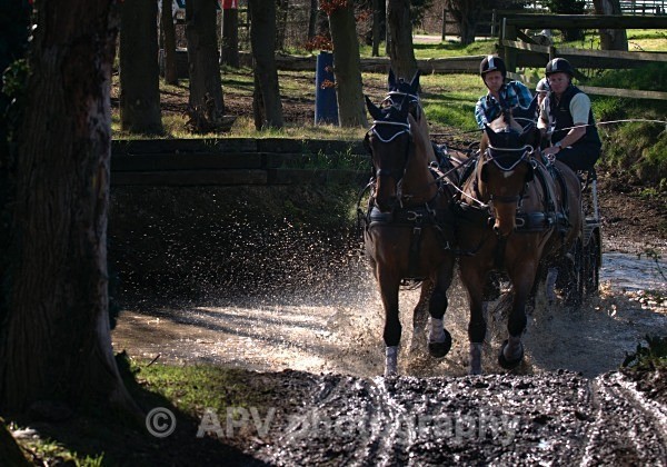 _DSC0351 - Ashfields Carriage & Polo Club