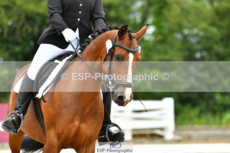 230708A-111905-02546 - Prelim 13