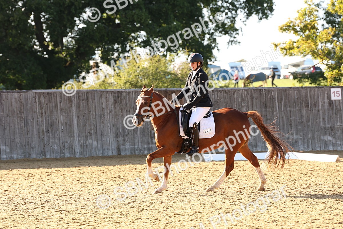 SBM_11682 - D9 - Small Tour Championship Prelim 3