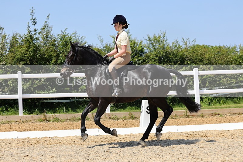 1X9A1752 - Class 11: Ridden Cob