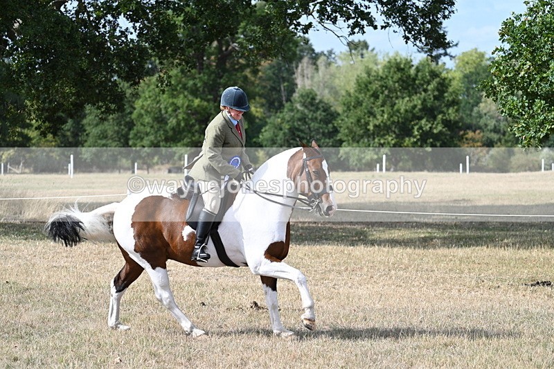 WJ7_7508 - Class 14 Ridden Coloured