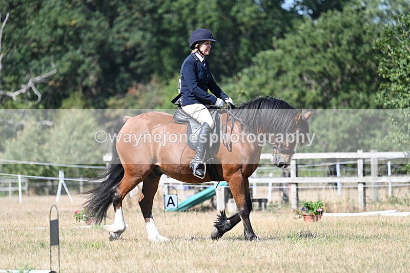 WJ7_0747 - Time 12:03 to 12:23