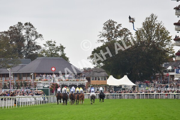 yr09102021r6-8 - Race 6 4.25pm Coral Best Odds Guaranteed Handicap
