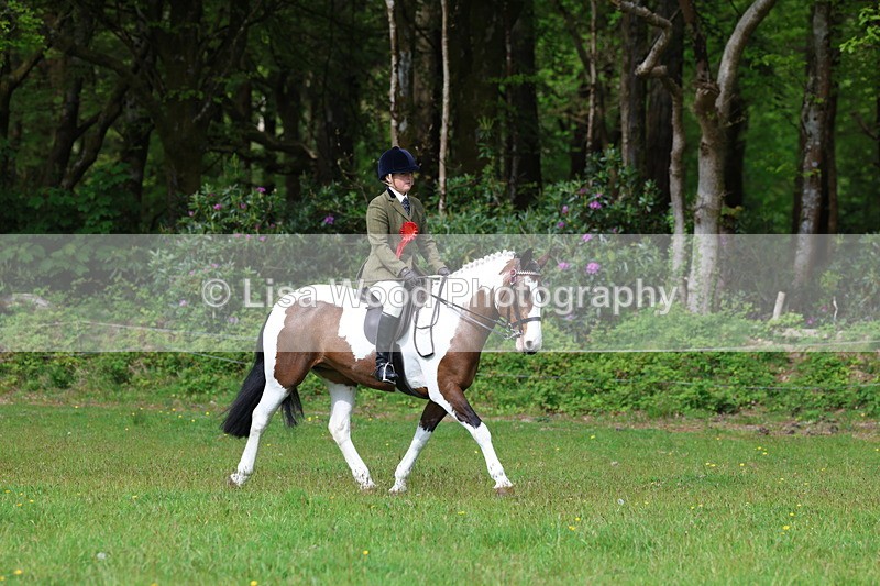 3E7A2628 - Working Hunter Championship