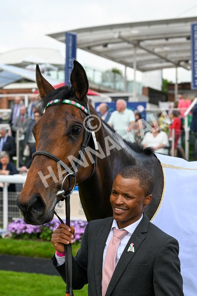 160524-Race 3-Bluestocking-5764 - Race 3 3.15pm  Al Basti Equiworld Dubai Middleton Fillies' Stakes