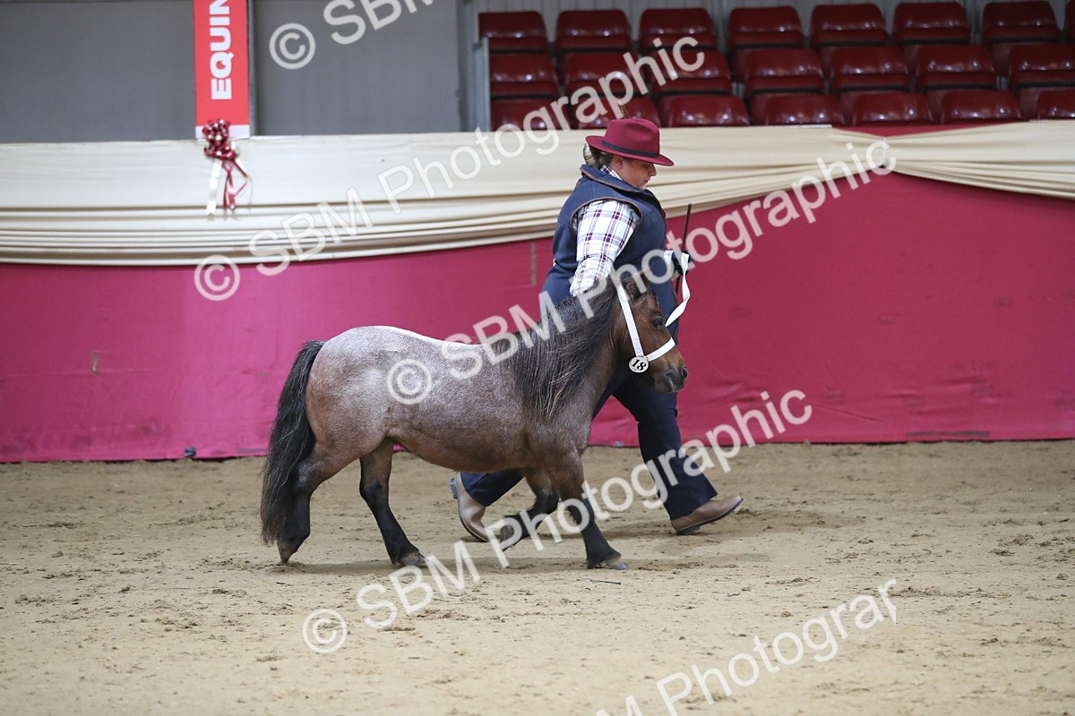 SBM_01333 - Class 3a Area IH Pre Vet