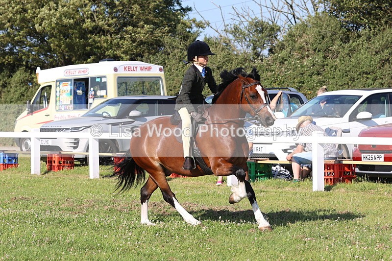 JPP_1291 - Class 18: Cornish Combination Young Rider