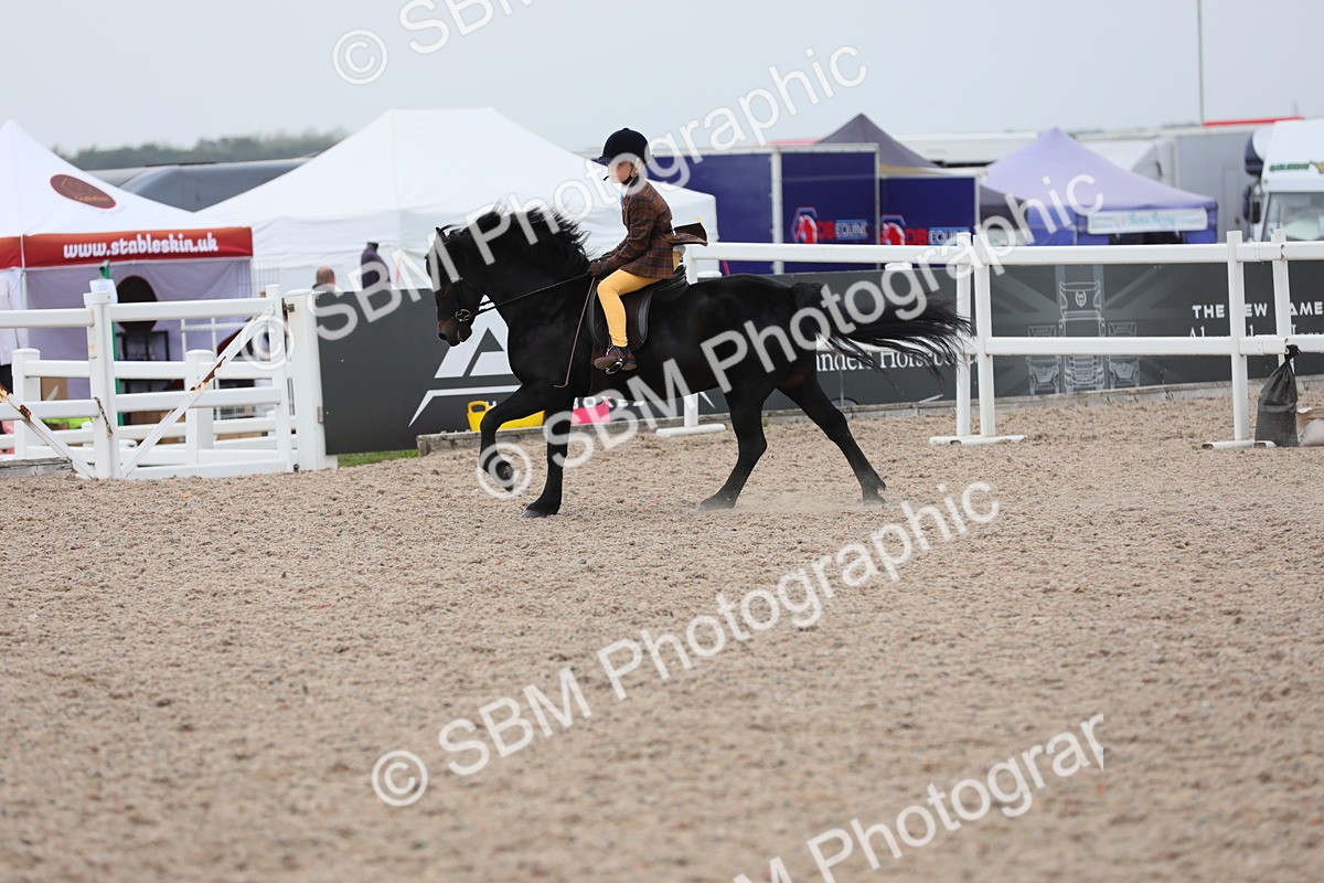 SBM_18143 - Class 316 Best Pony/Rider Combination