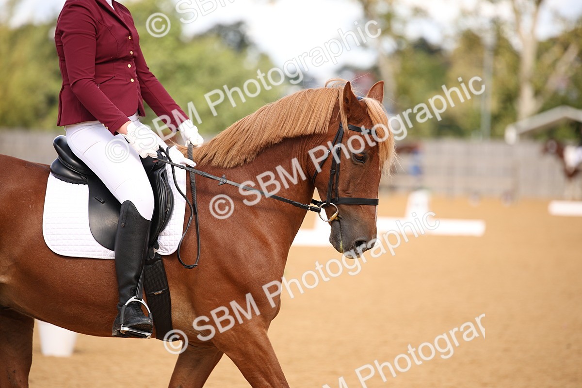 SBM_06753 - D8 Small Tour Championship Prelim 7