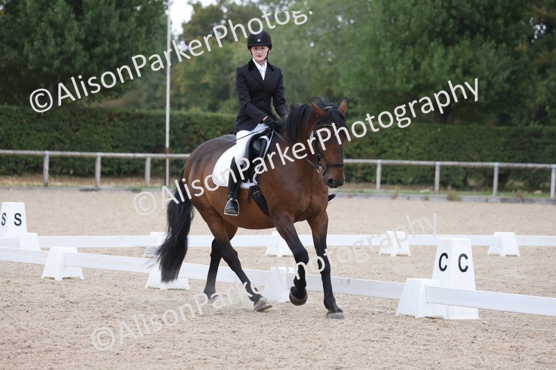 20250820-0348 - Class 11 - My Quest Novice 3