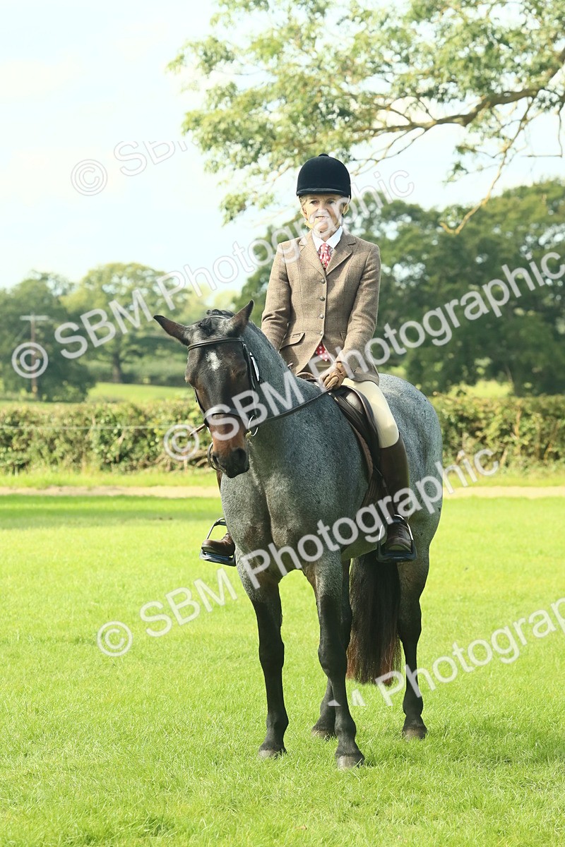 SBM_62669 - S63 - Other Coloured Horse Ridden