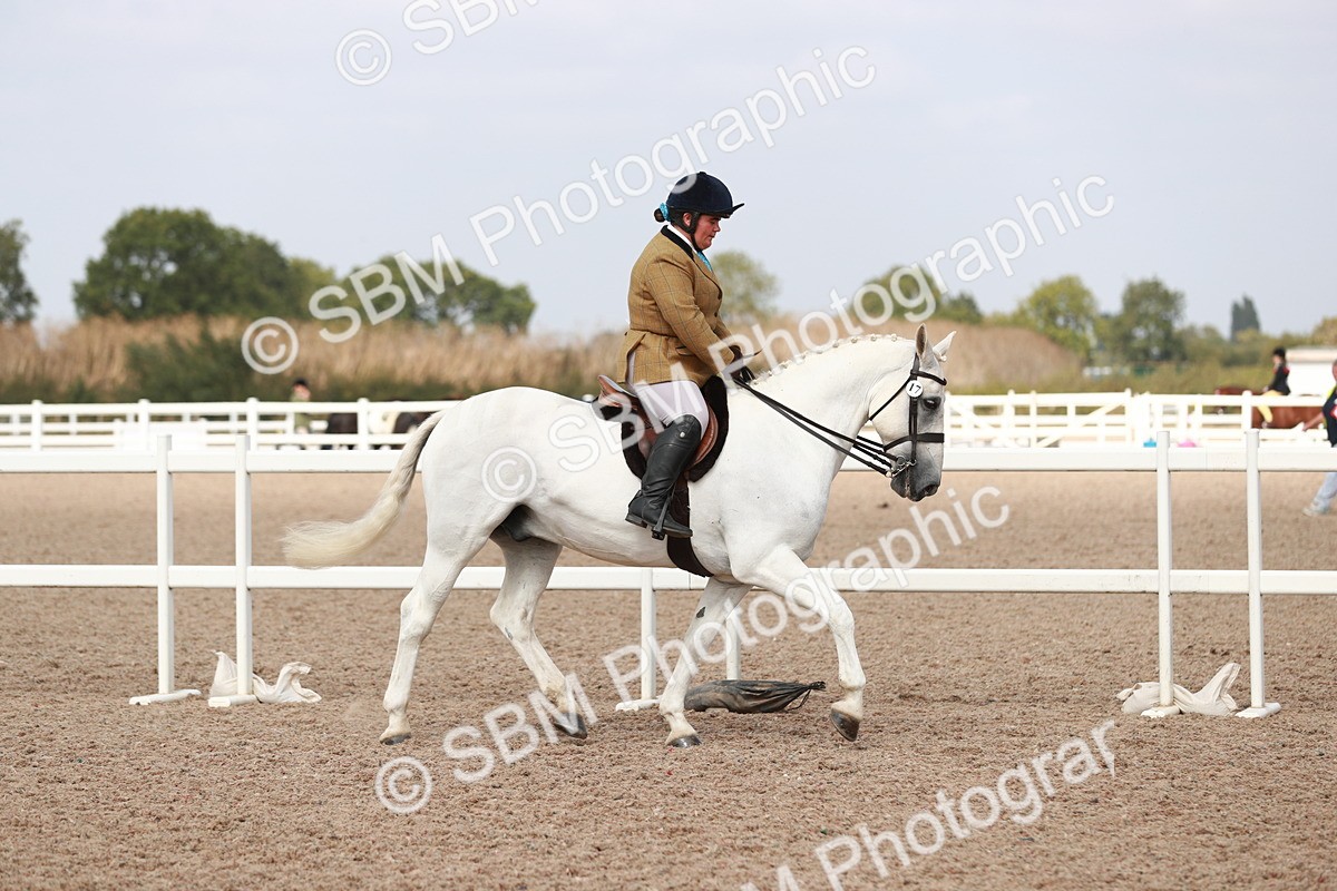 SBM_14800 - Class 212 Ridden Hunter - Small