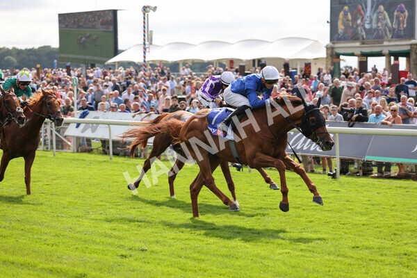 yr18082021r3-68 - Race 3 3.00pm Sky Bet Great Voltigeur Stakes