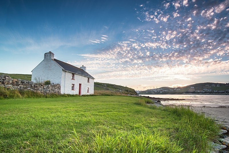 DSC_4918-Edit - Downings & Beaches