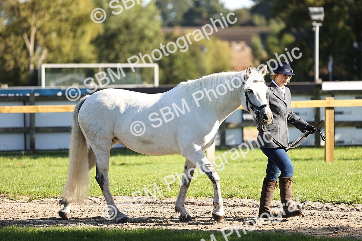 SBM_15833 - S1 - TSR in Hand Horse & Pony Showing