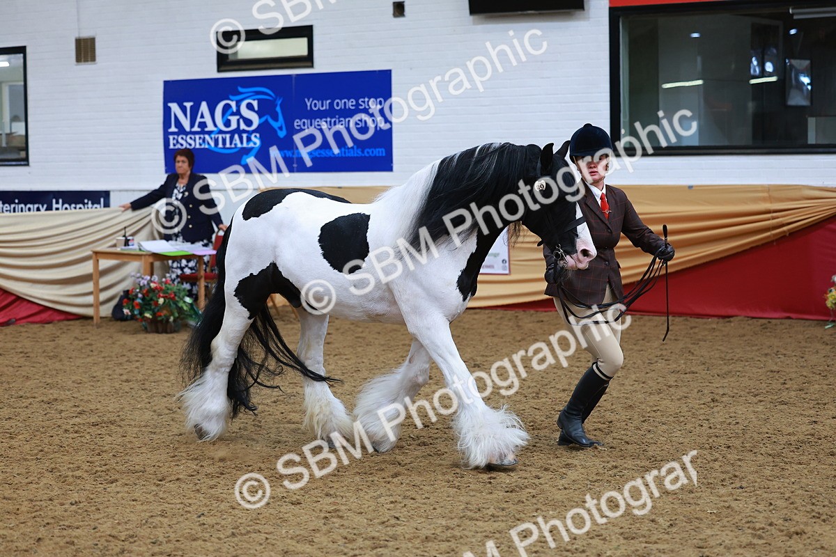 SBM_09795 - Class 102 - HOYS Veteran Qualifier - Ridden Veteran