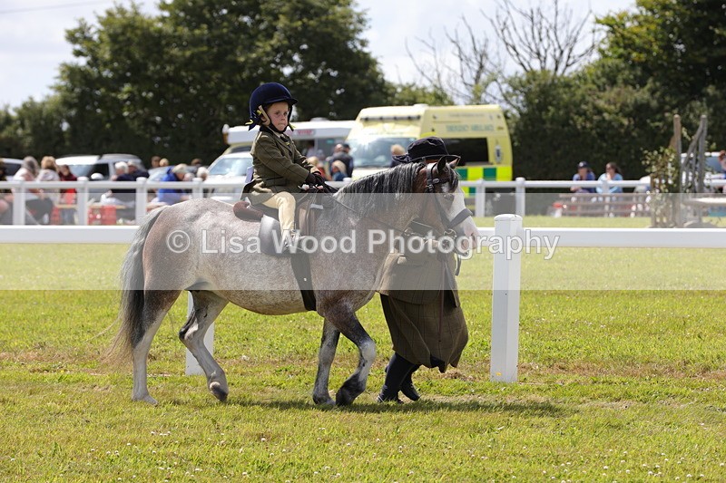 1X9A5038 - Class 36: NPS M&M Lead Rein