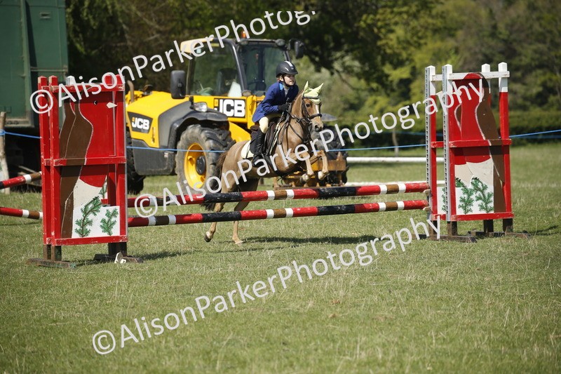 20250427-2254 - Class 13 - Novice Jumping 60cm