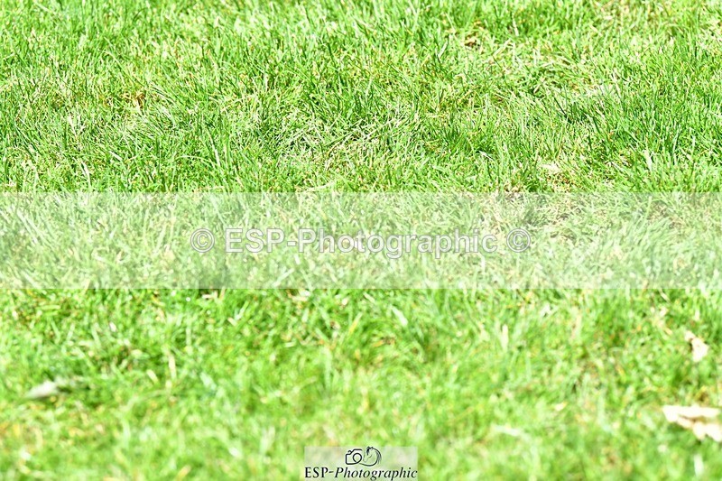 230707-140518-08204 - Cls 13 Newcomers 2nd R