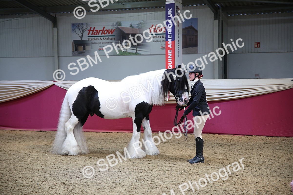 SBM_24721 - Class 906 - Supreme Final - Ridden Pre Vet