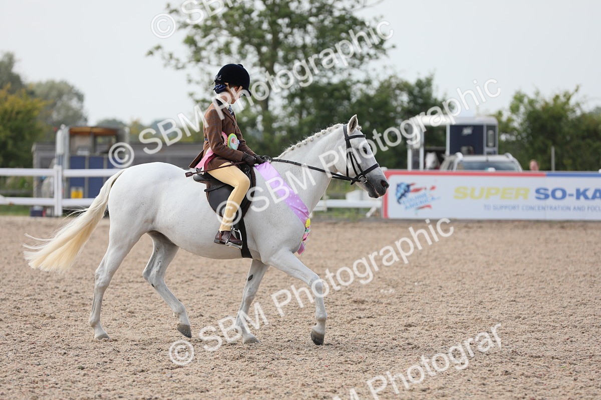 SBM_17073 - Class 314 Family Horse/Pony