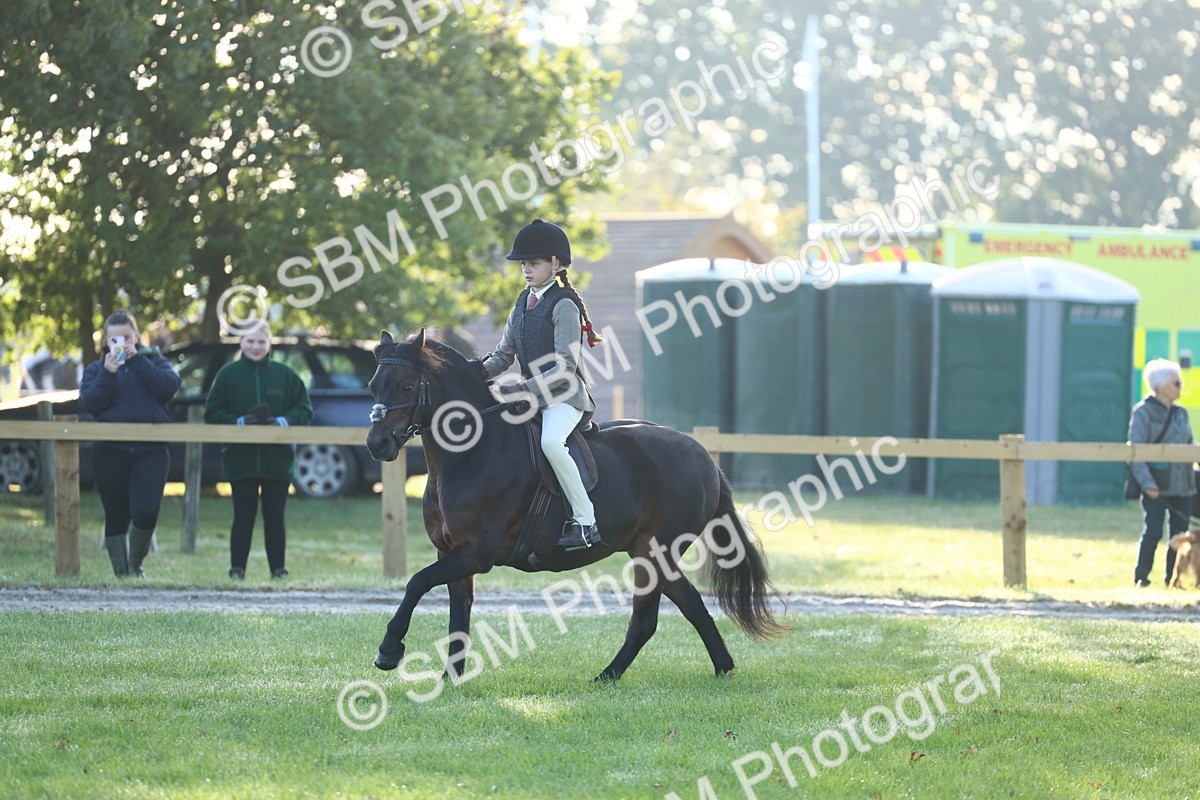 SBM_31909 - S28 - Nursery Stakes Working Hunter Pony