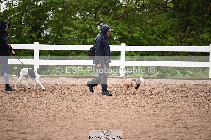 240518A-133736-01328 - Cls 9 Best in Show