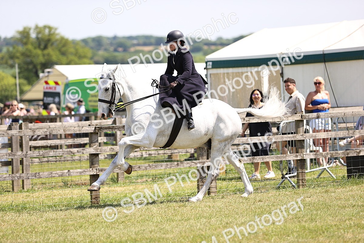 SBM_15103 - Class 79-80 - LIHS BSHA Rising Star Ridden Hunter