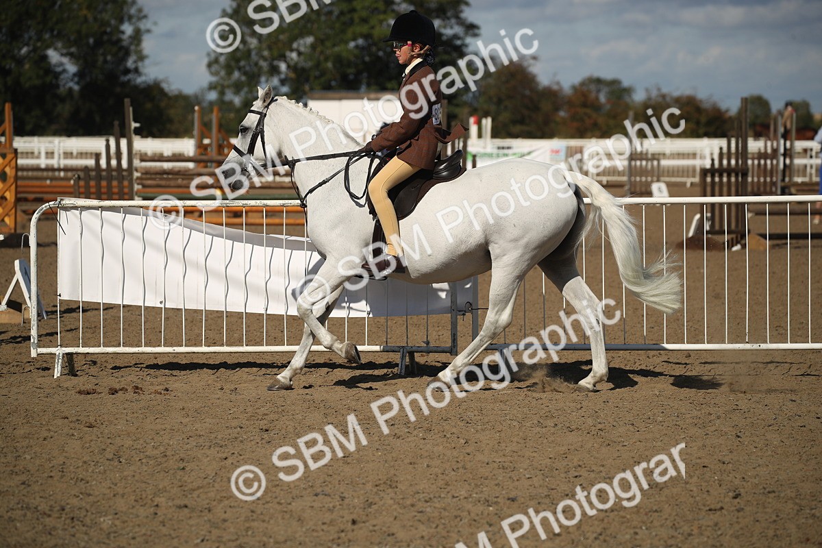 SBM_12759 - Class 504b - Junior Working Veteran - 40cm (20+)