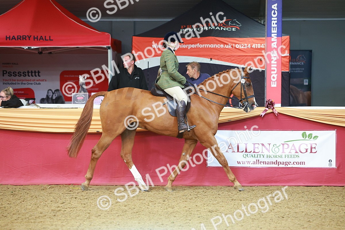 SBM_09601 - Class 102 - HOYS Veteran Qualifier - Ridden Veteran