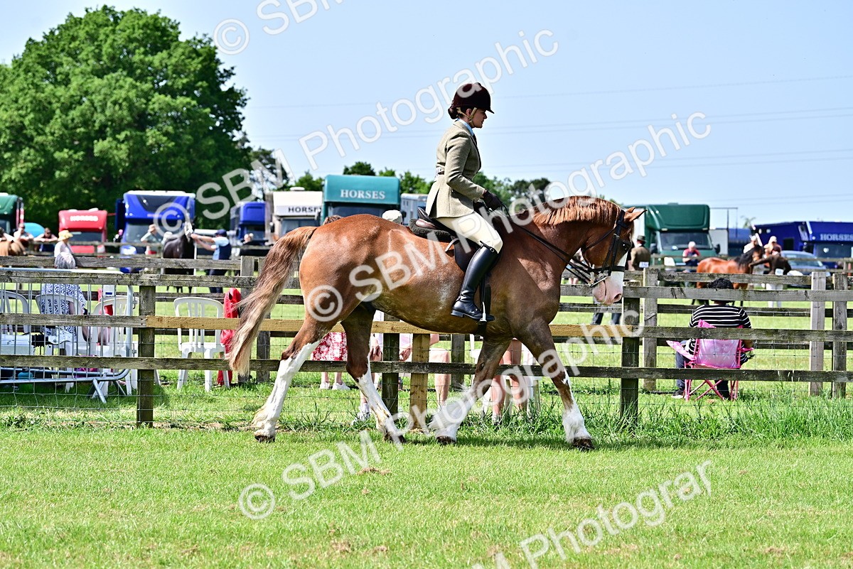 SBM_03712 - Class 58 - TSR  Ridden Veteran Amateur of the year