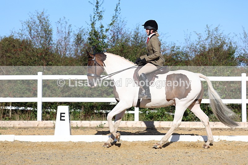 3E7A5274 - Class 8: Small Ridden Hunter