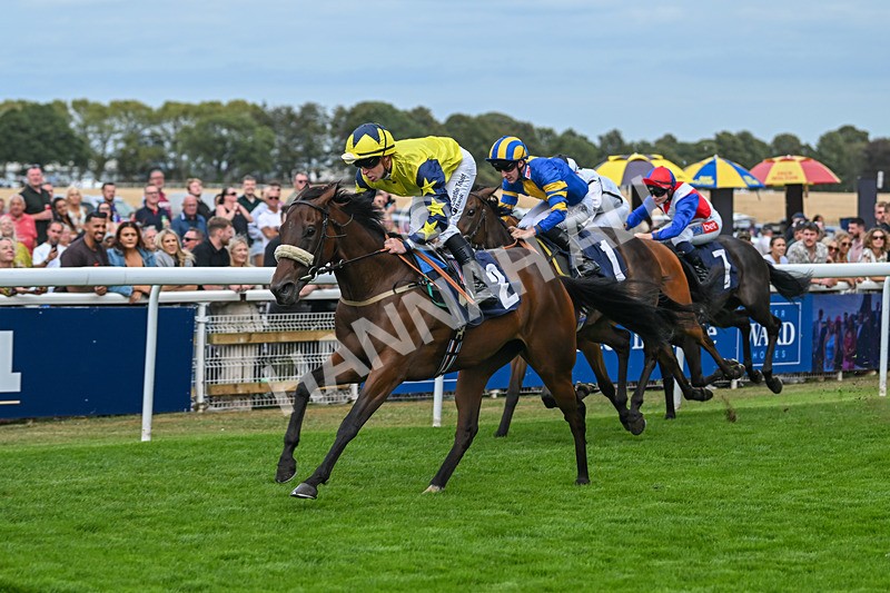 300825-Race 4-Lady Britain-1277 - Race 4