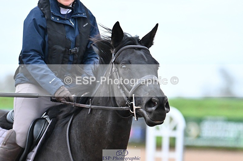 241116X-082755-00274 - Clear Round