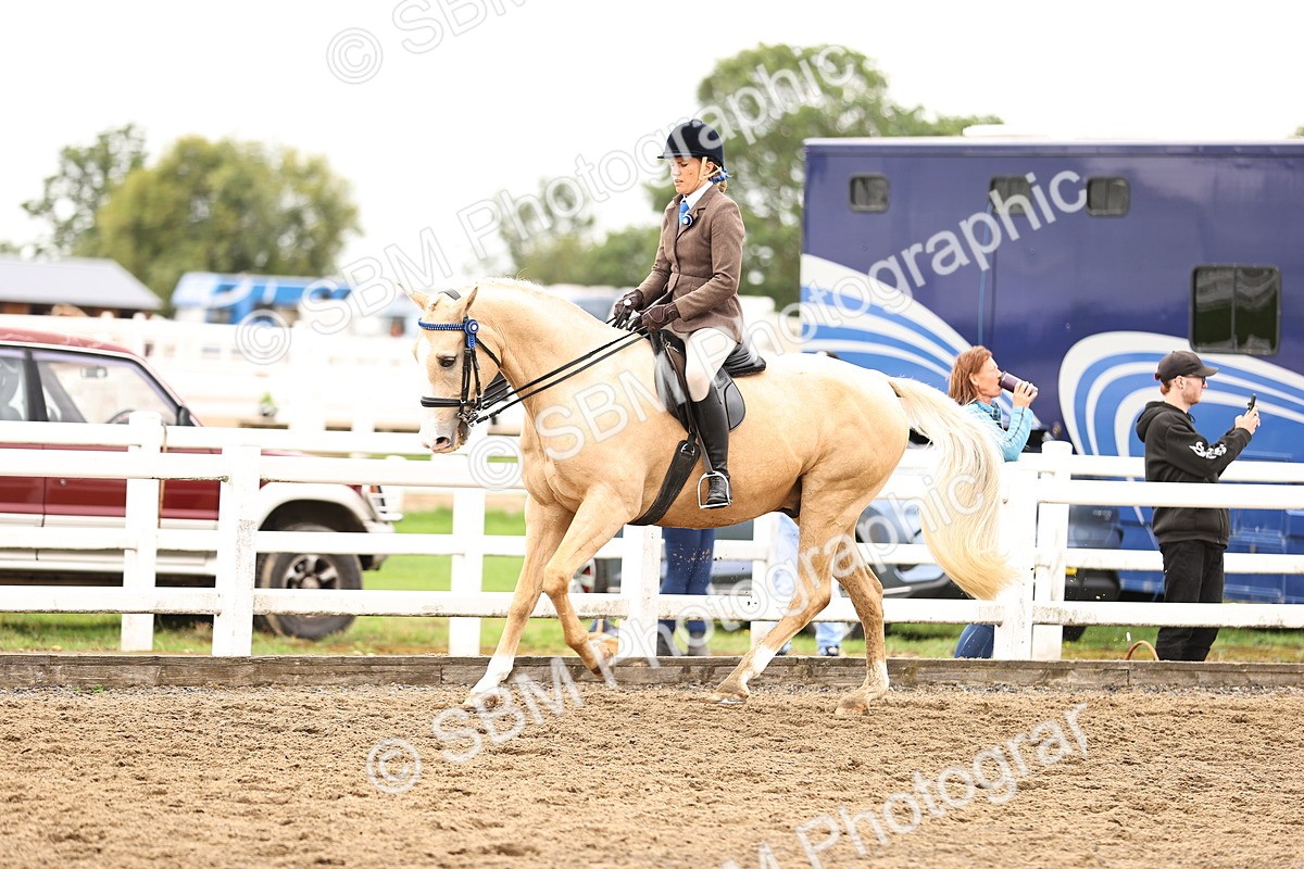 SBM_01366 - Class 54 - Riding Club Horse Pony