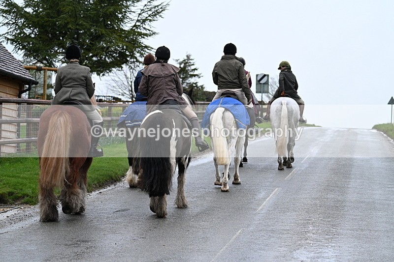 WJ7_8846 - Berks & Bucks - Rowles Farm 15-02-26