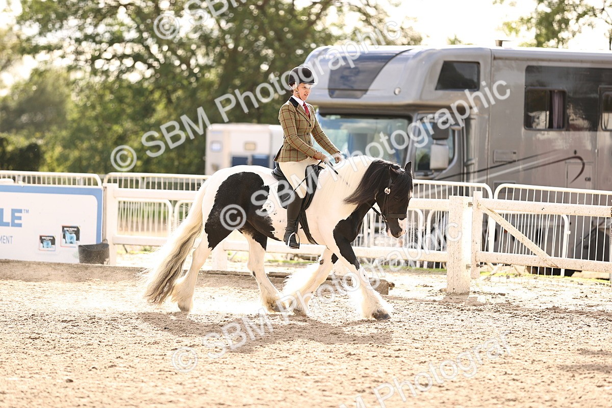 SBM_18250 - Class 423 - Equitation (best rider) Adult