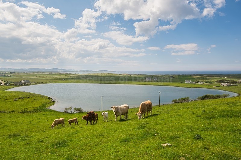 DSC_3591 - Fanad & Portsalon