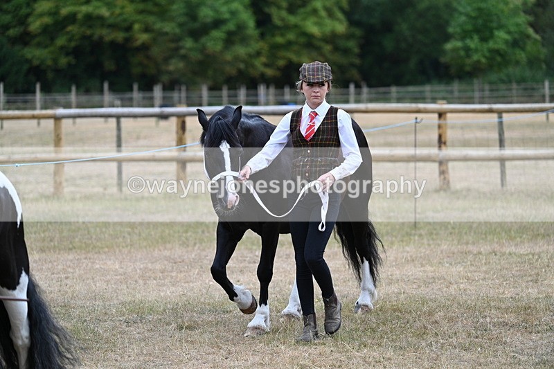 WJ7_8033 - Class 4 Prettiest Mare up to 14.2hh