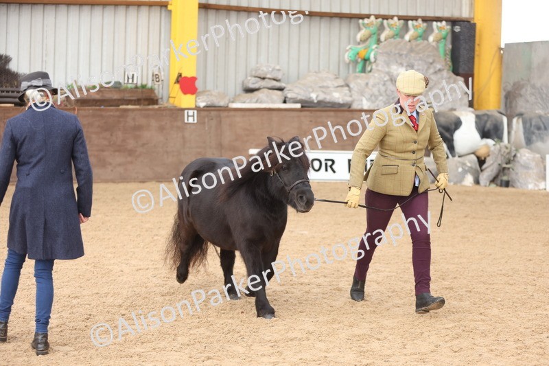 20251109-0102 - Class 5 - Mares 4 Years and over