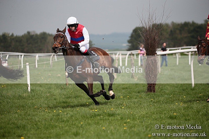 PtP 210418 19 - South & West Wilts Point-to-Point Larkhill 21/04/18