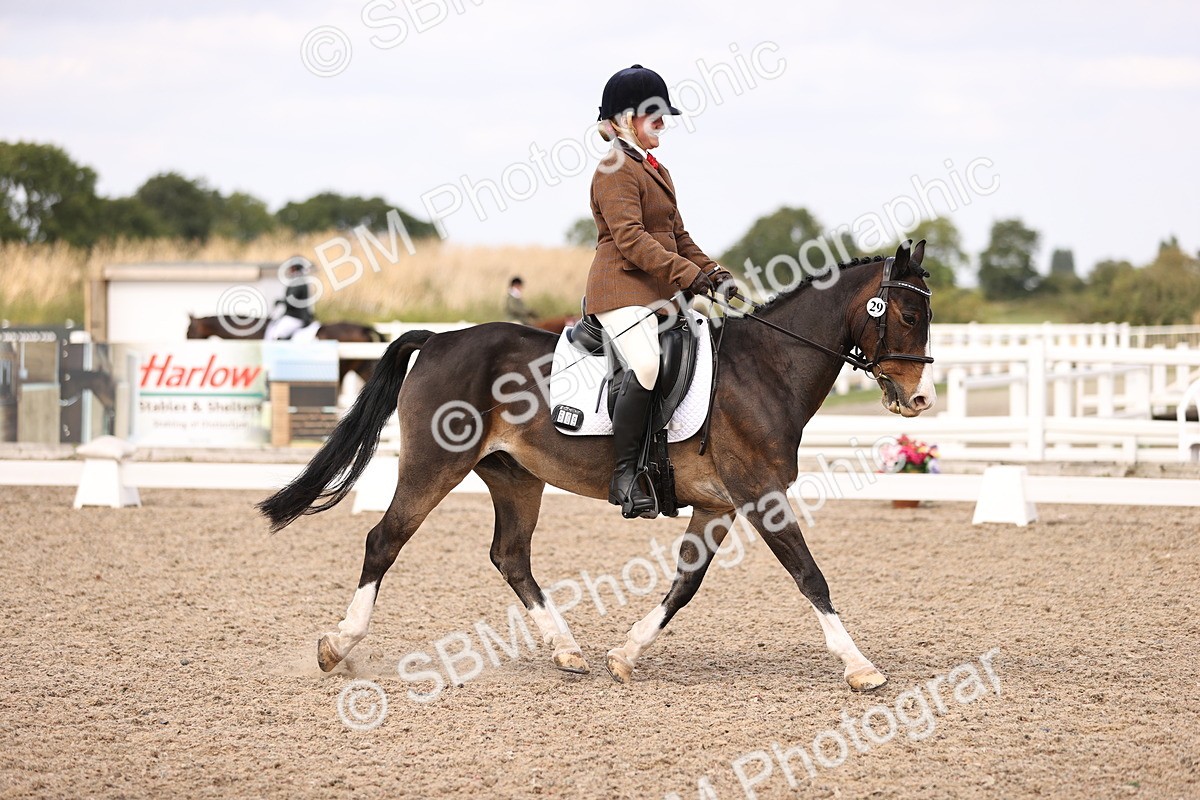 SBM_06048 - Class 37 Novice 5