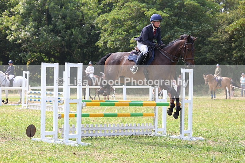 3E7A2969 - Class 7: Senior British Novice/90cm open