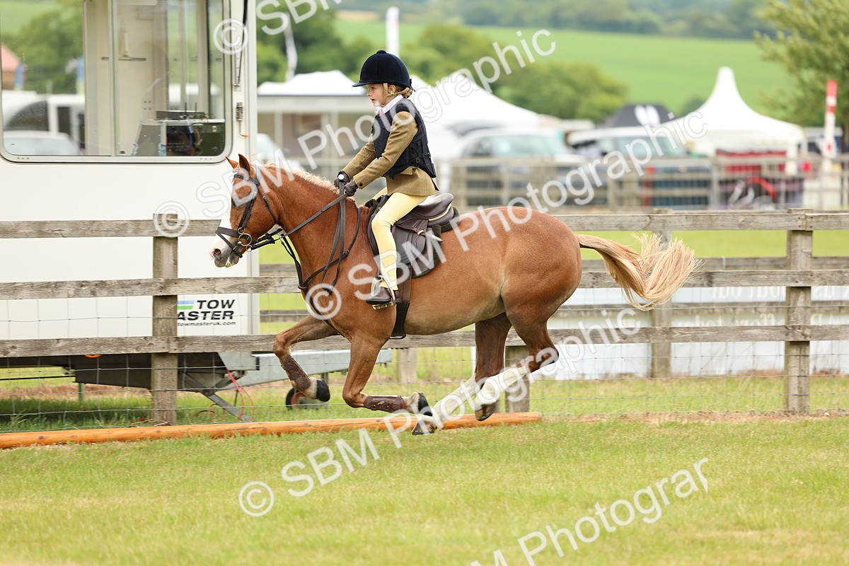 SBM_10249 - Class 44-45 - LIHS BSPS Open Nursery and Cradle Stakes