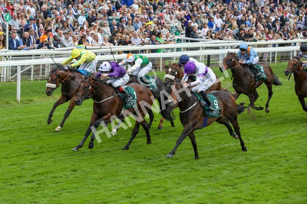 220824-Race 2-Diligently-7627 - Race 2 2.25pm Harry's Half Million By Goffs Premier Yearling Stakes