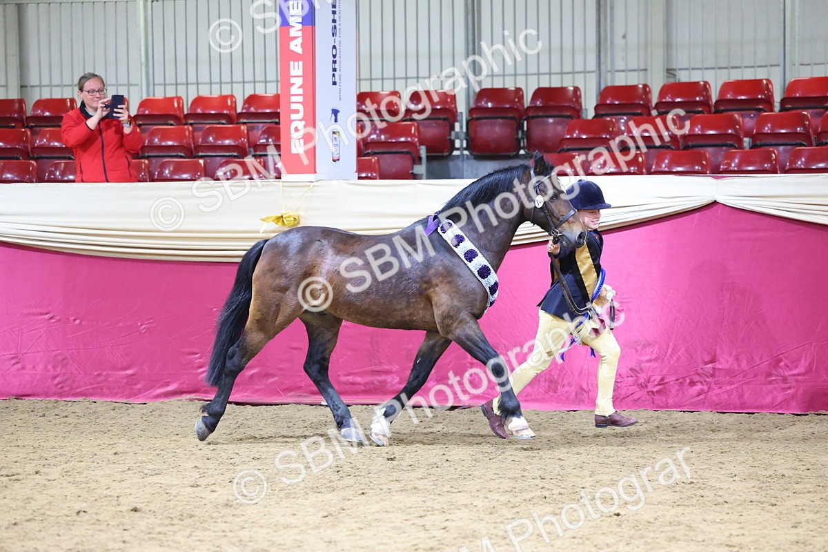 SBM_18599 - Class B Junior Champ 11-16 years