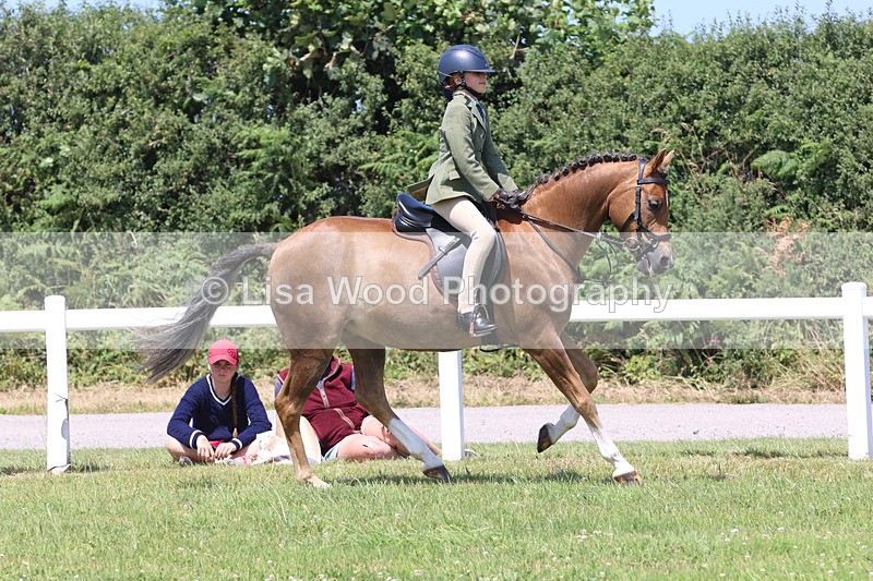 JPP_2732 - Class 21: Working Hunter 60cm
